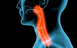 Adult ENT Care for Throat