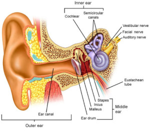 ear balance disorder