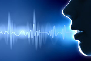 Voice