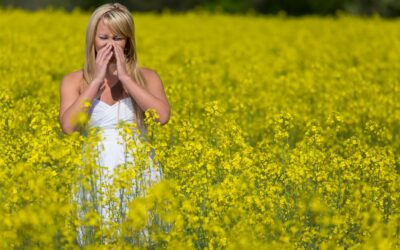 Most Common Spring Allergies in California