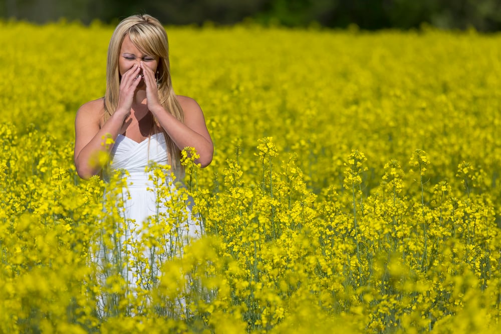 Most Common Spring Allergies in California