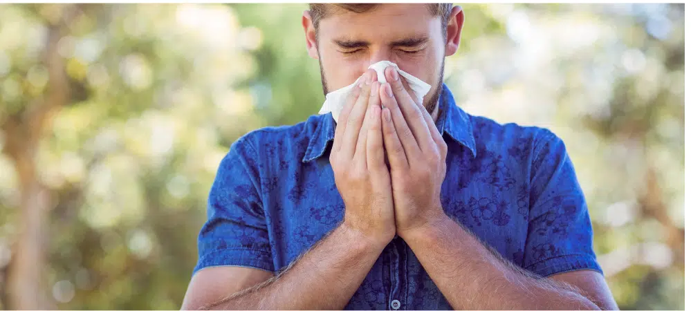How to Prevent Summer Allergies - C/V ENT Surgical Group