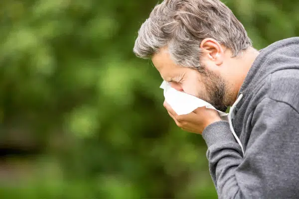 Causes of Seasonal Allergies